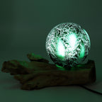 DriftGlow Emerald Crackle Lamp – Driftwood Base