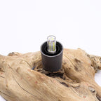 DriftGlow Emerald Crackle Lamp – Driftwood Base