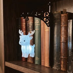 Decorative Bookshelf Lights – Mini Lanterns, Ghosts & More